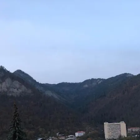 Lukassalomea Apartment Borjomi Exterior photo